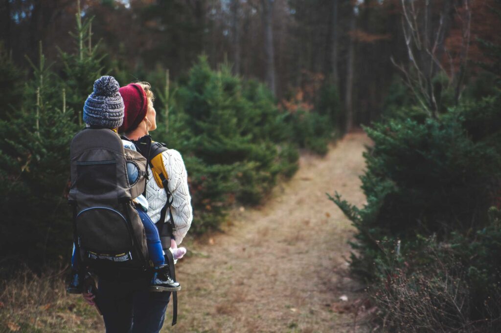 aserpjustren - randonnée dans la forêt d'aserpjustren